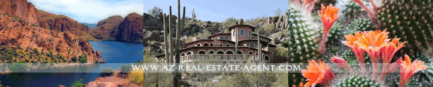 Apache Junction Real Estate